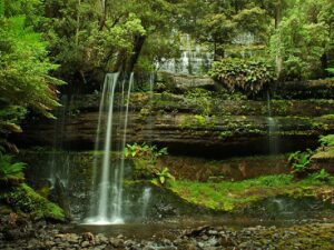 Национальные парки Тасмании фото